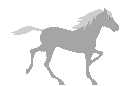 cavallo grigio.gif